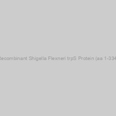 Image of Recombinant Shigella Flexneri trpS Protein (aa 1-334)